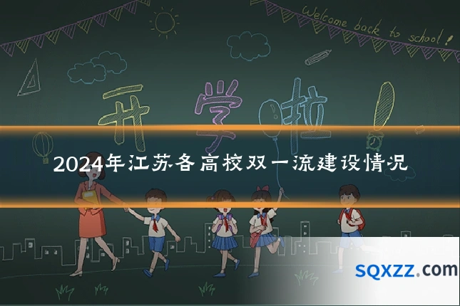 2024年江苏各高校双一流建设情况