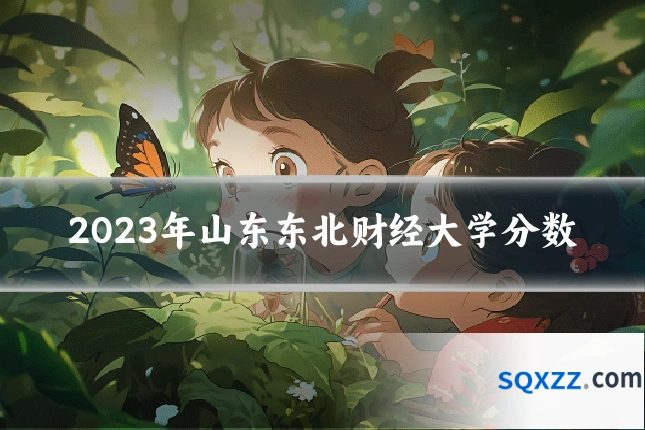 2023年山东东北财经大学分数