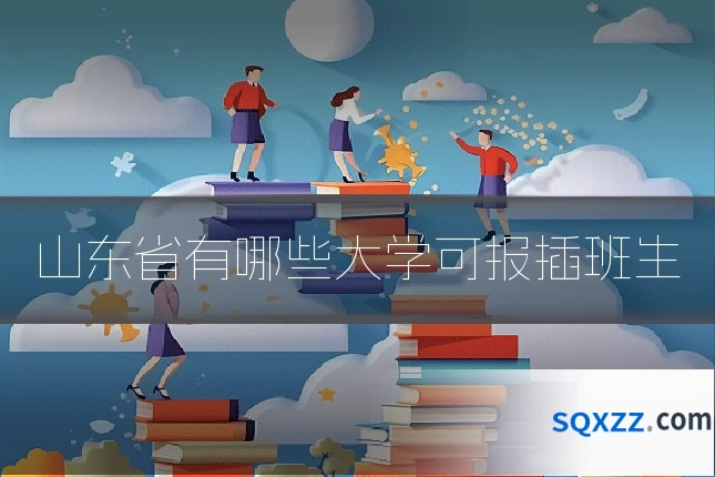 山东省有哪些大学可报插班生