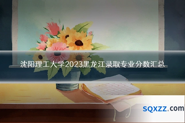 沈阳理工大学2023黑龙江录取专业分数汇总