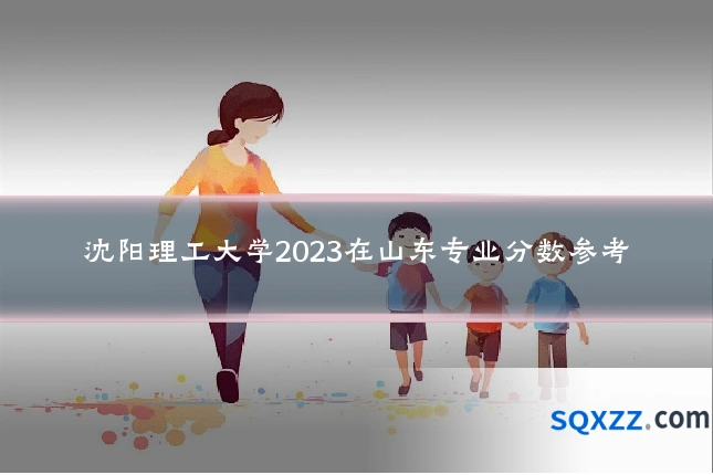 沈阳理工大学2023在山东专业分数参考