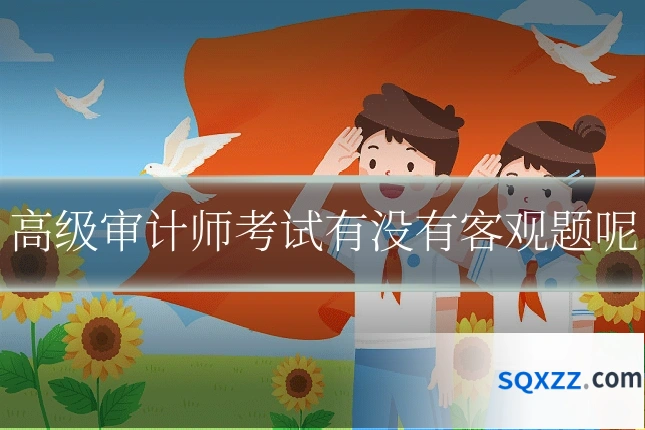 高级审计师考试有没有客观题呢