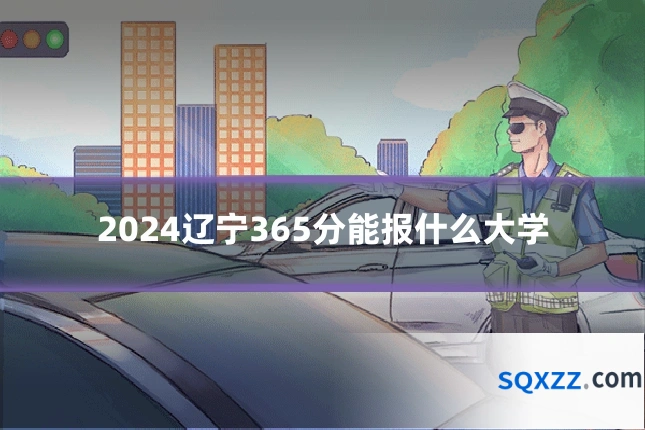 2024辽宁365分能报什么大学