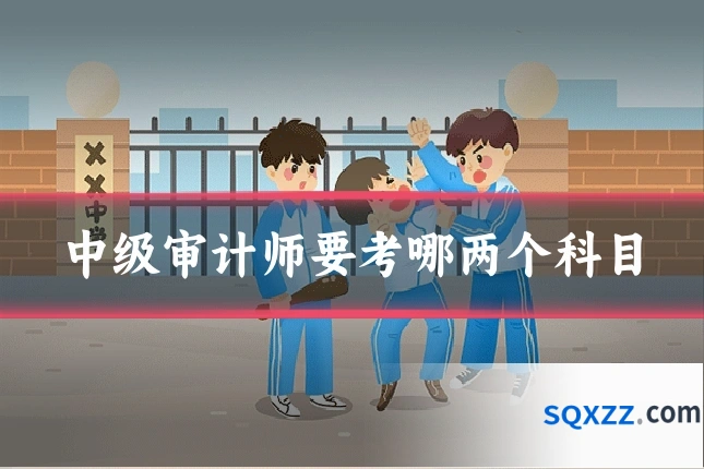 中级审计师要考哪两个科目