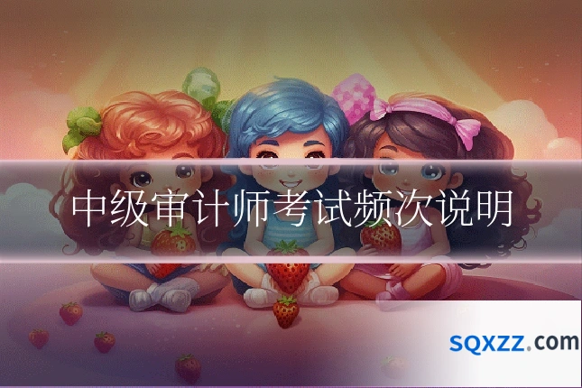 中级审计师考试频次说明