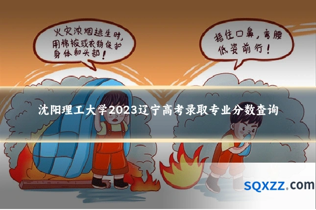 沈阳理工大学2023辽宁高考录取专业分数查询