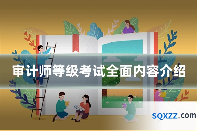 审计师等级考试全面内容介绍