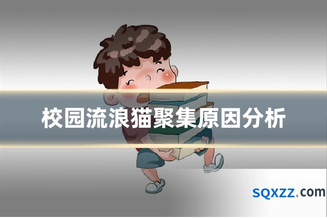 校园流浪猫聚集原因分析