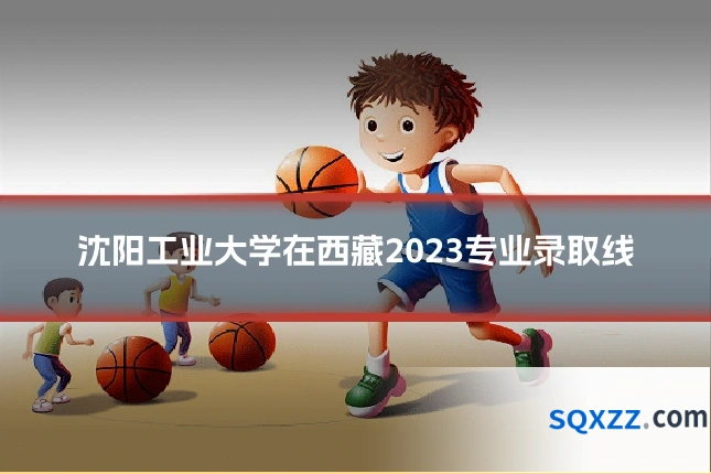 沈阳工业大学在西藏2023专业录取线