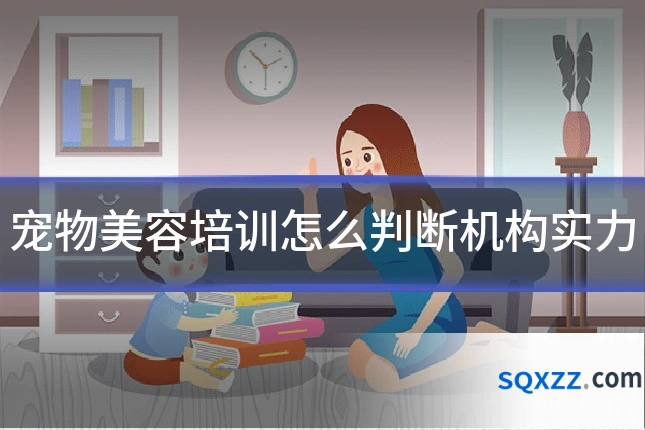 宠物美容培训怎么判断机构实力