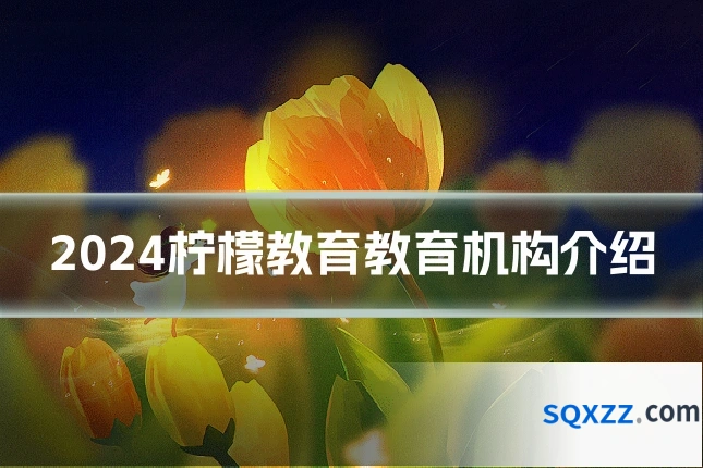 2024柠檬教育教育机构介绍