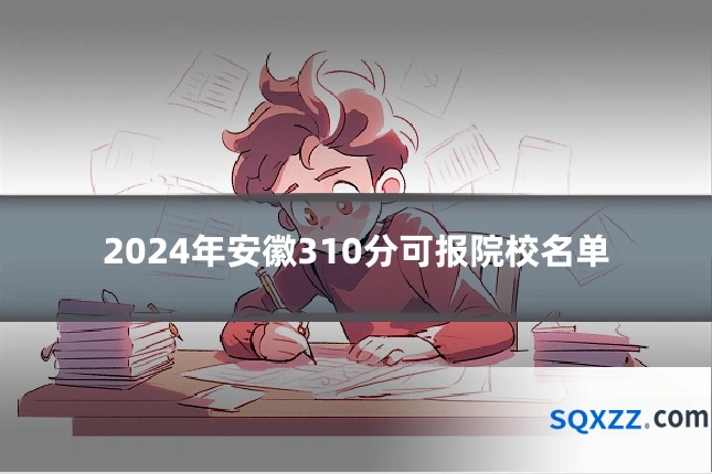 2024年安徽310分可报院校名单