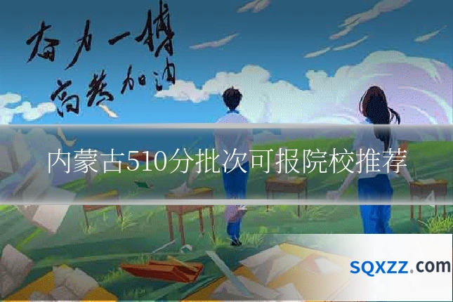 内蒙古510分批次可报院校推荐