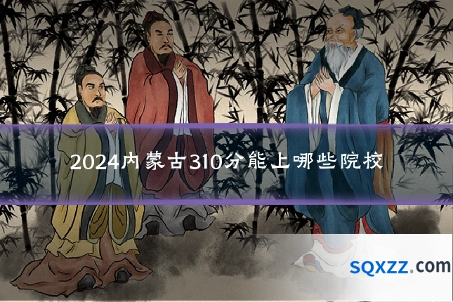 2024内蒙古310分能上哪些院校