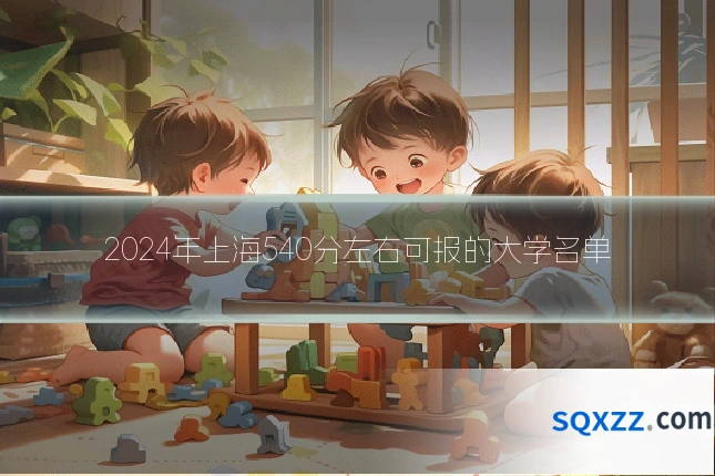 2024年上海540分左右可报的大学名单