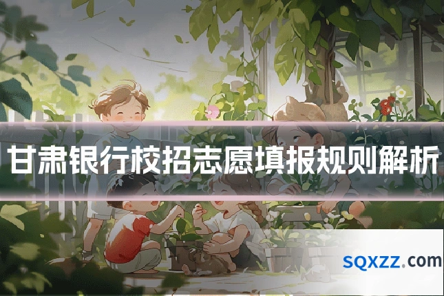 甘肃银行校招志愿填报规则解析