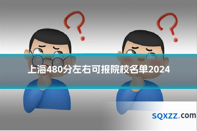 上海480分左右可报院校名单2024