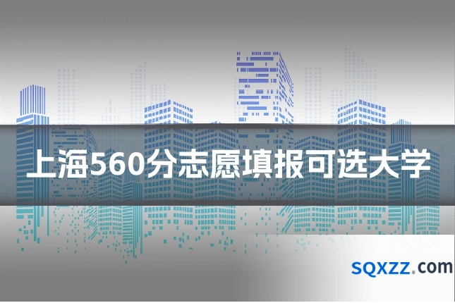 上海560分志愿填报可选大学