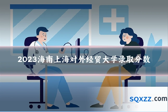 2023海南上海对外经贸大学录取分数