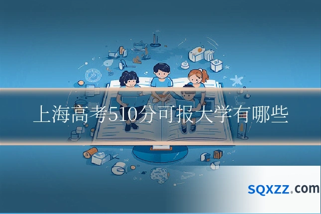 上海高考510分可报大学有哪些