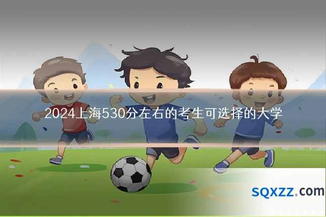 2024上海530分左右的考生可选择的大学