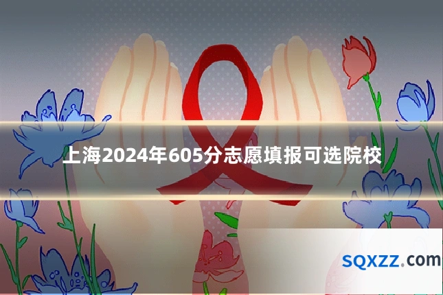 上海2024年605分志愿填报可选院校