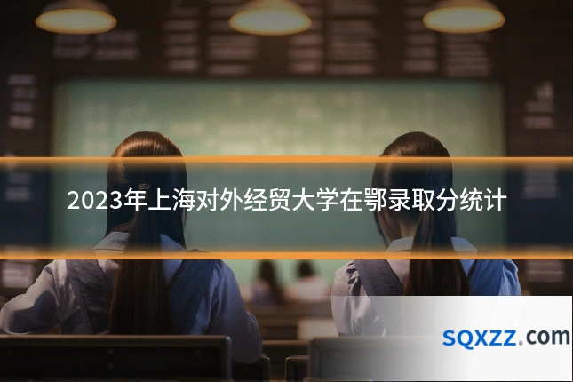 2023年上海对外经贸大学在鄂录取分统计