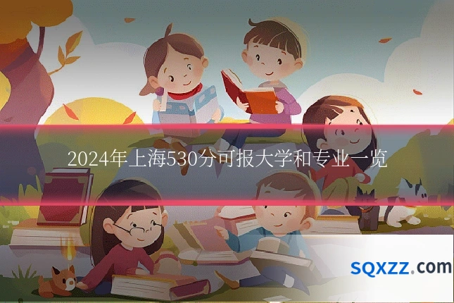 2024年上海530分可报大学和专业一览