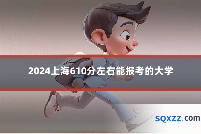 2024上海610分左右能报考的大学