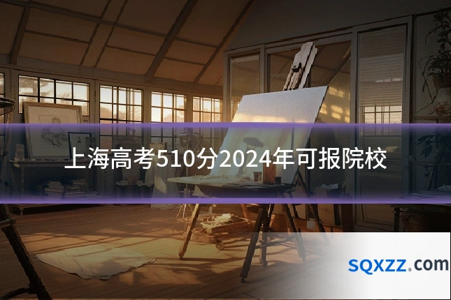 上海高考510分2024年可报院校
