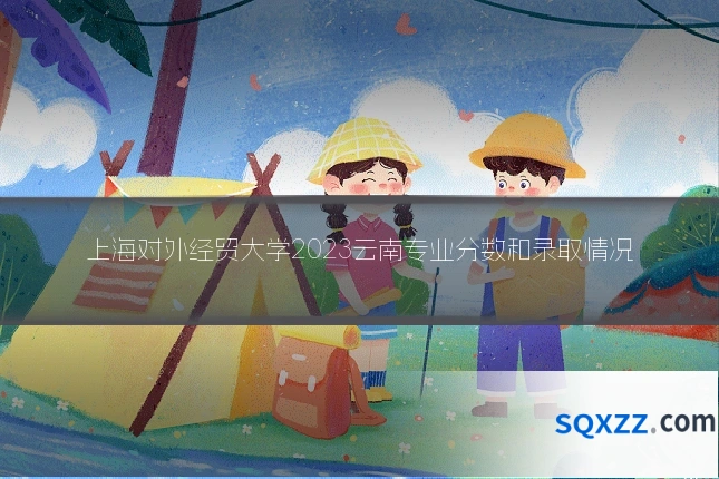 上海对外经贸大学2023云南专业分数和录取情况