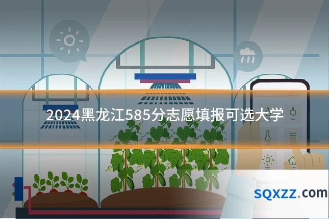 2024黑龙江585分志愿填报可选大学