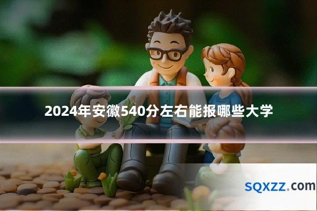 2024年安徽540分左右能报哪些大学