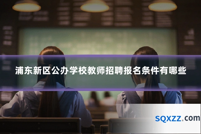浦东新区公办学校教师招聘报名条件有哪些
