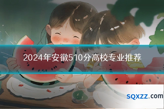 2024年安徽510分高校专业推荐