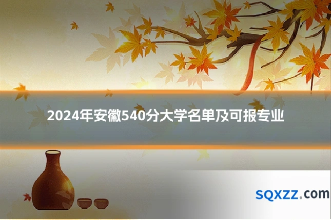 2024年安徽540分大学名单及可报专业