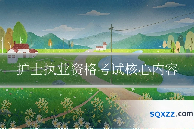 护士执业资格考试核心内容