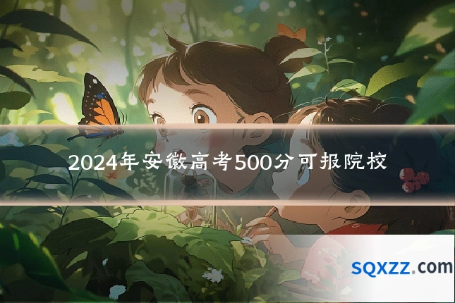 2024年安徽高考500分可报院校