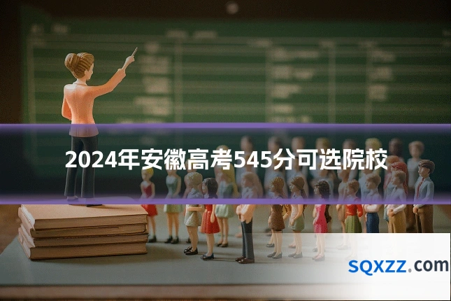 2024年安徽高考545分可选院校