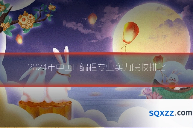 2024年中国IT编程专业实力院校排名