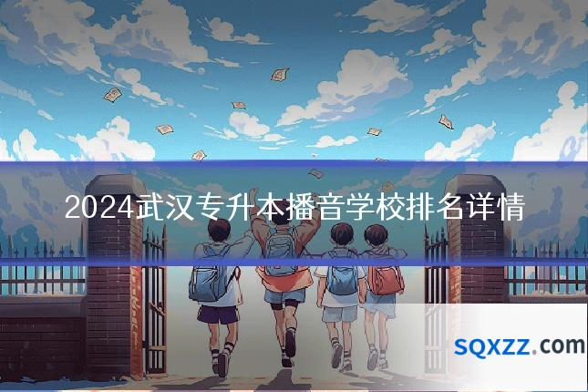 2024武汉专升本播音学校排名详情