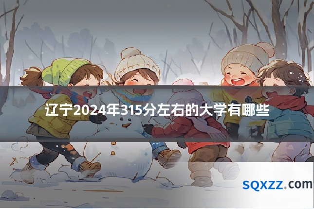 辽宁2024年315分左右的大学有哪些