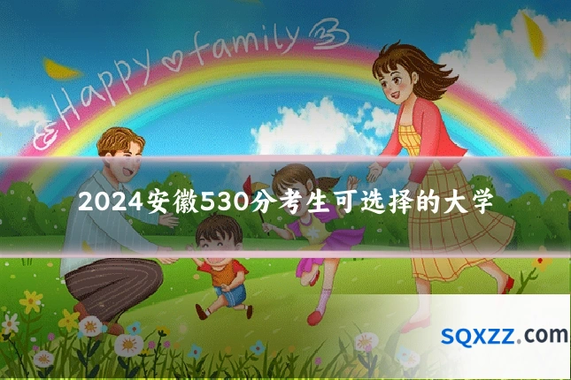2024安徽530分考生可选择的大学