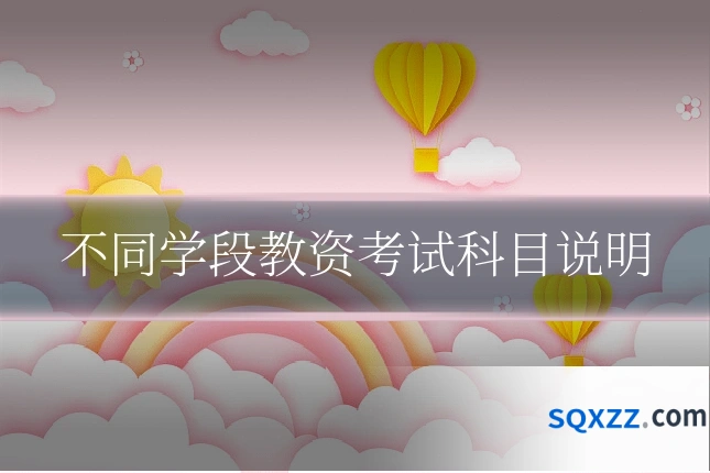 不同学段教资考试科目说明