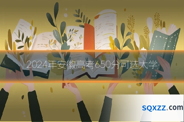 2024年安徽高考650分可选大学