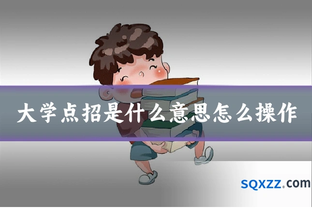大学点招是什么意思怎么操作