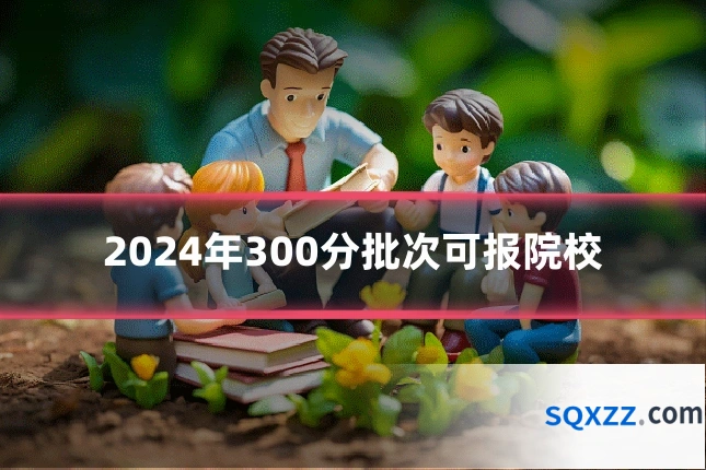 2024年300分批次可报院校