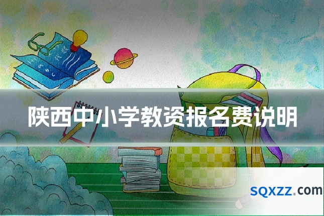 陕西中小学教资报名费说明