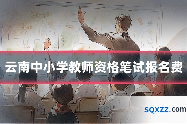 云南中小学教师资格笔试报名费