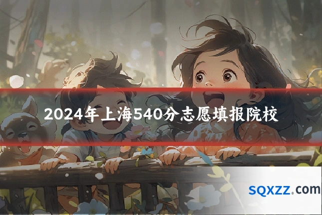 2024年上海540分志愿填报院校